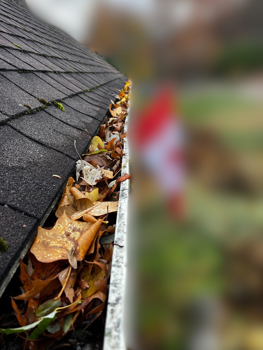 Gutters before cleaning